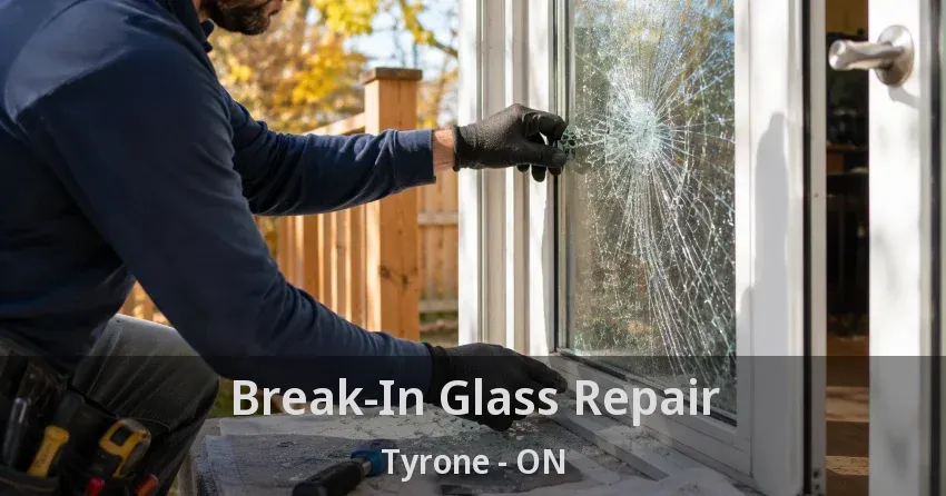 Break-In Glass Repair Tyrone - ON