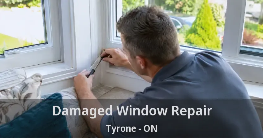 Damaged Window Repair Tyrone - ON