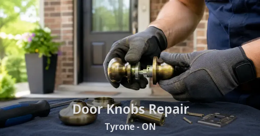 Door Knobs Repair Tyrone - ON