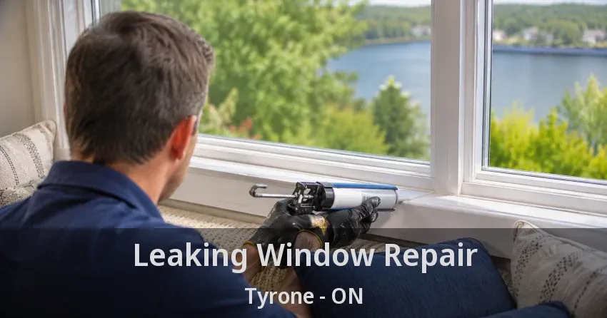 Leaking Window Repair Tyrone - ON